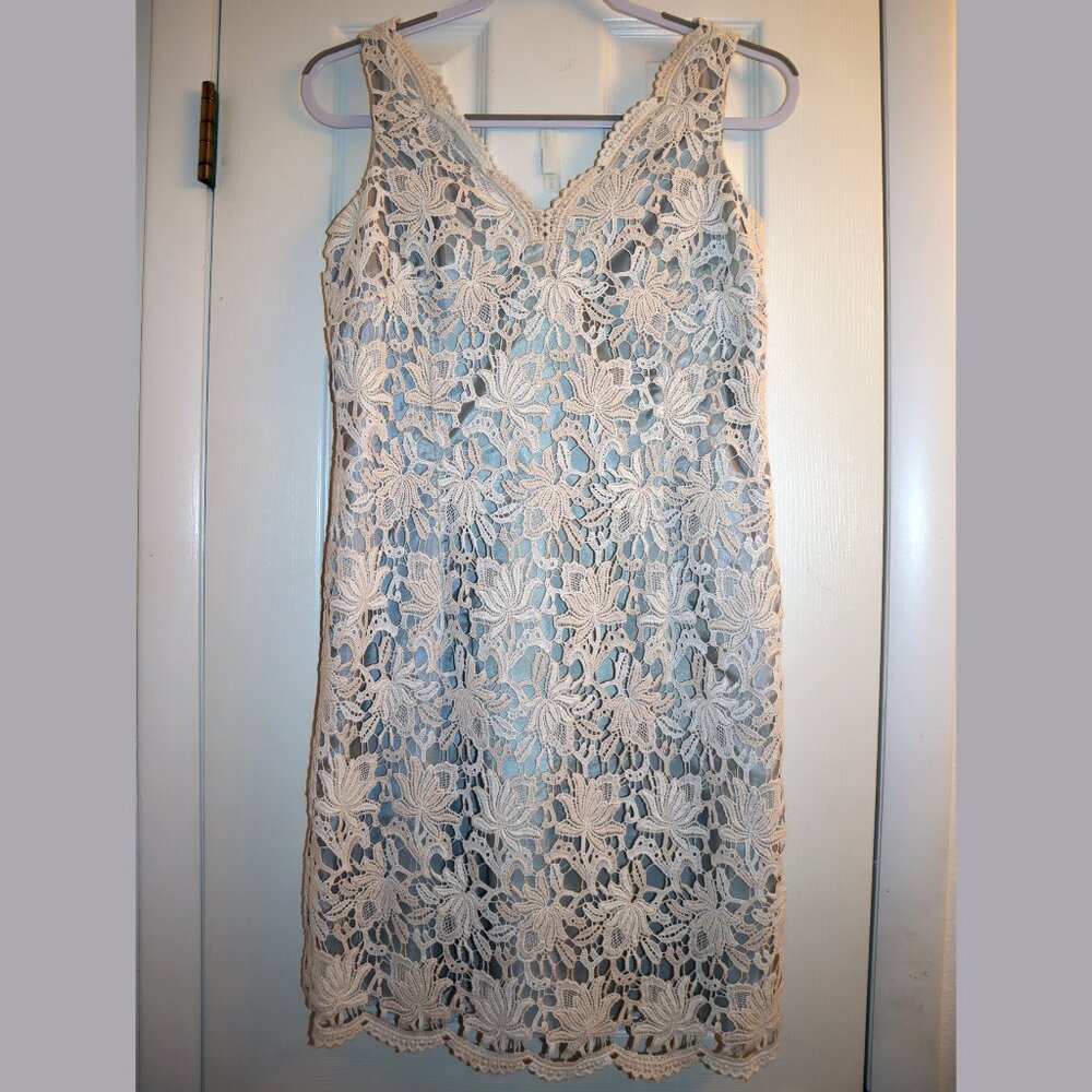 ANN TAYLOR Cream Ivory Lace Sheath Dress / size 4P
